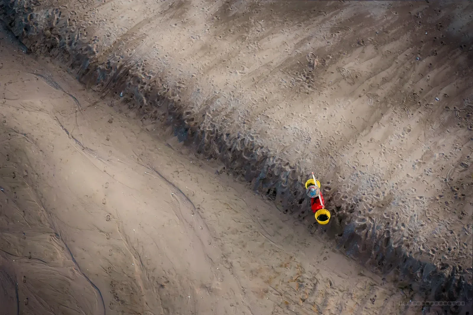 DongBi 8