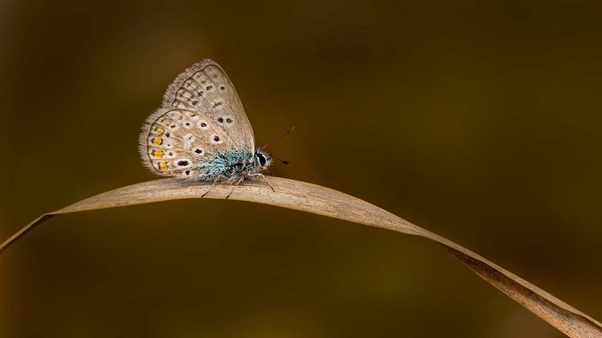 Beauty of Nature
