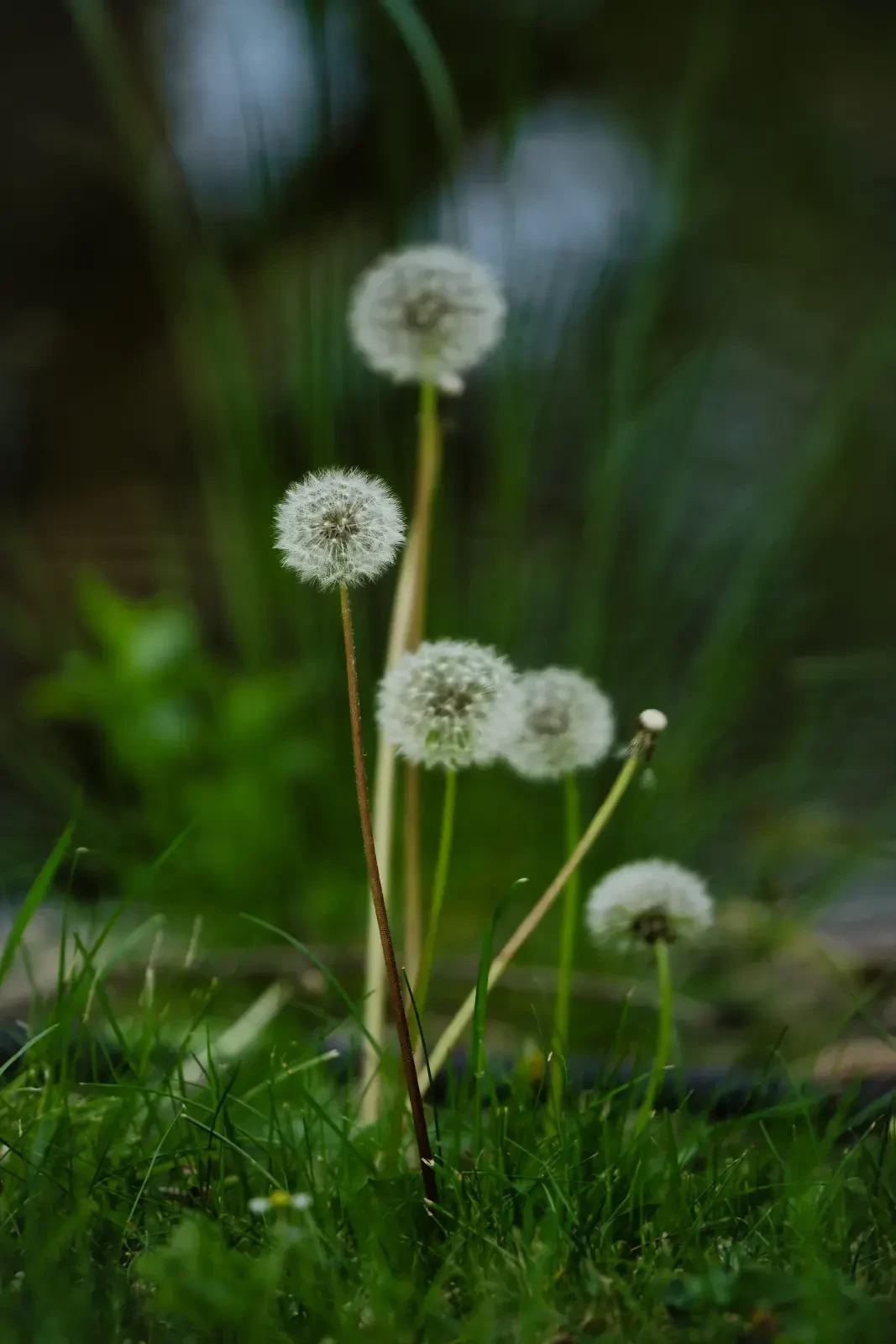 End of spring