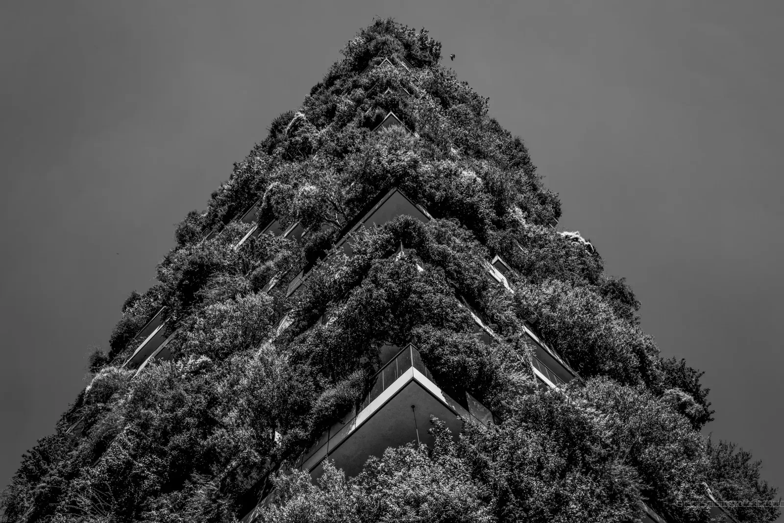 Vertical garden