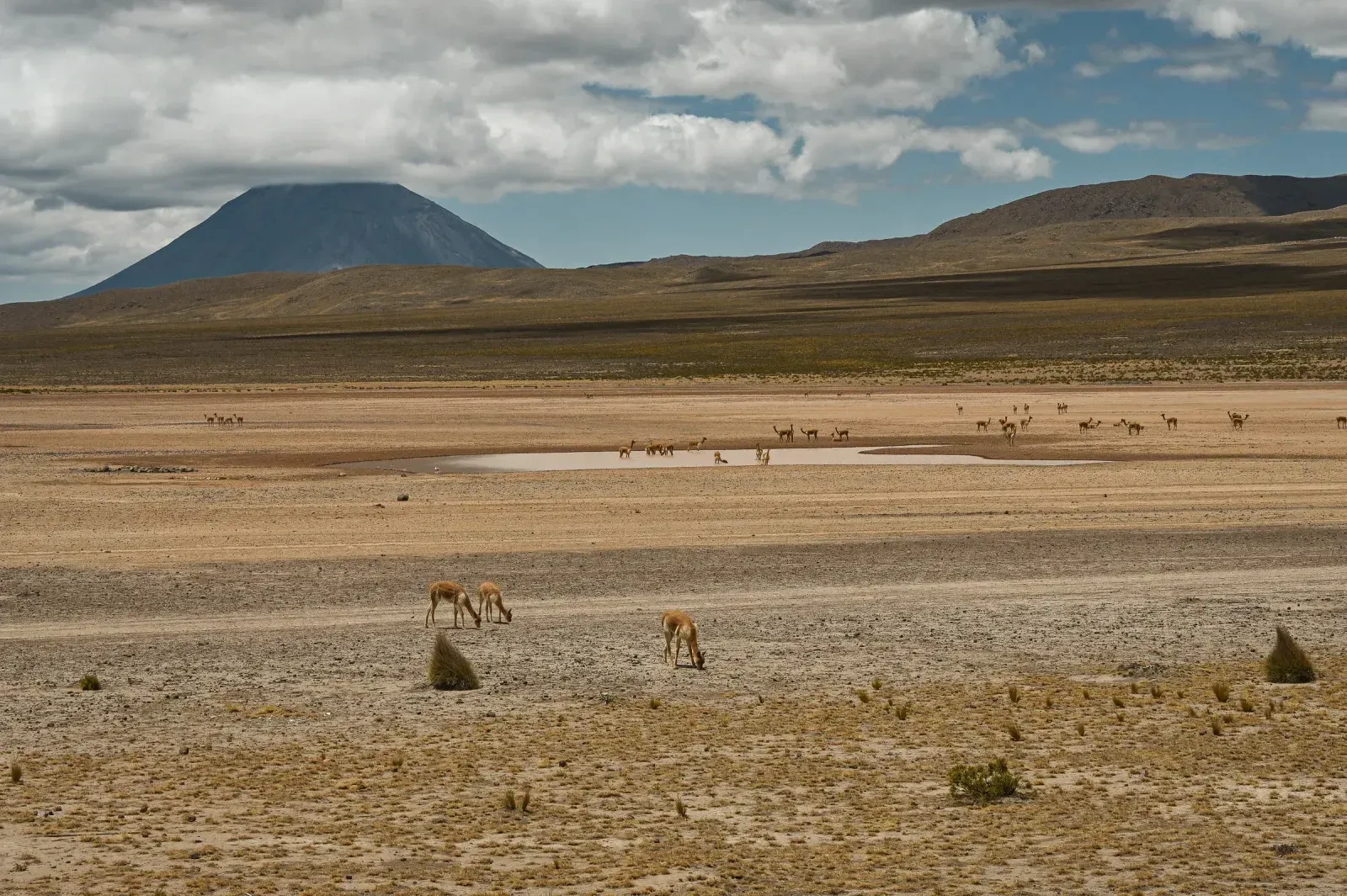 Peru 7