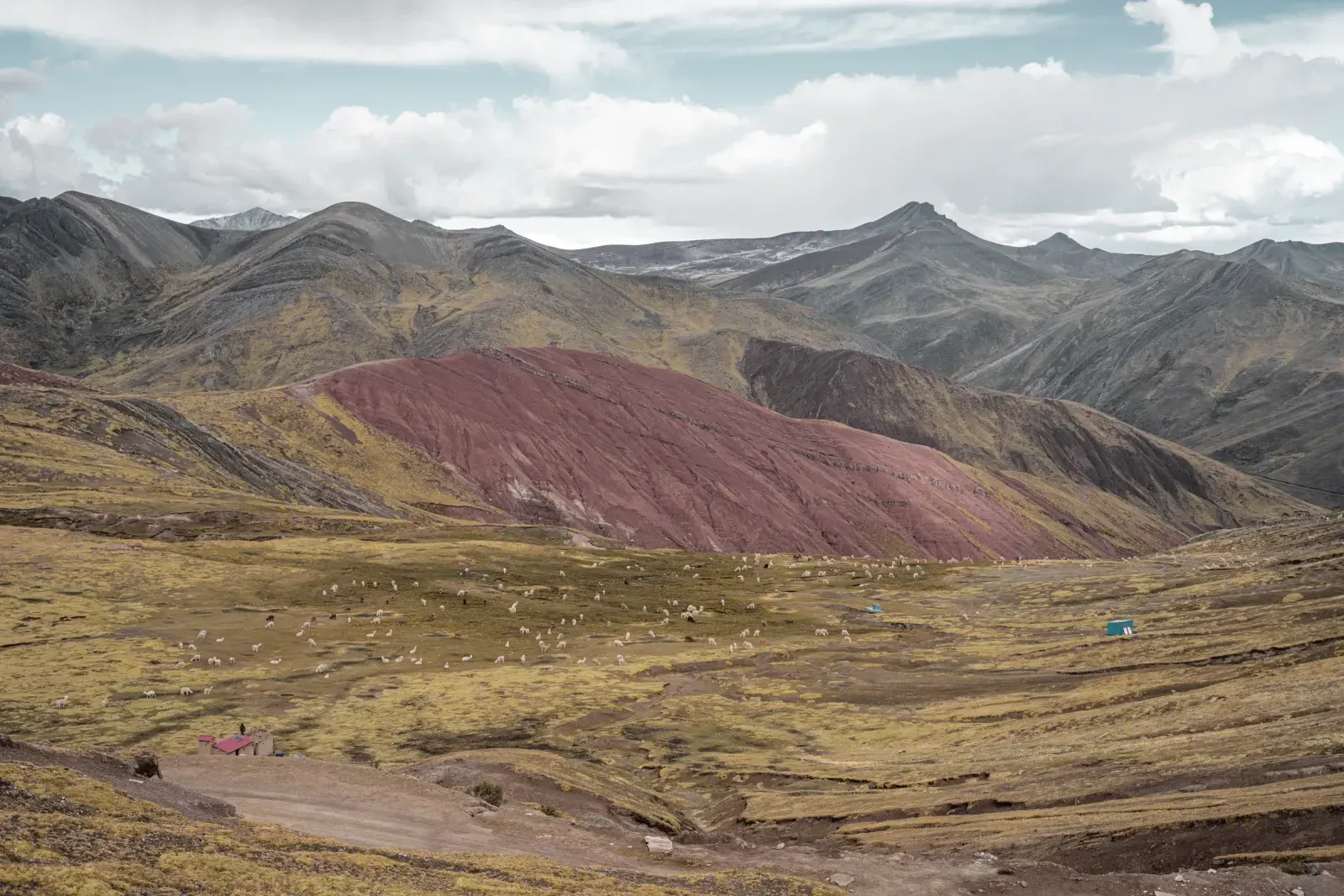 Peru 105