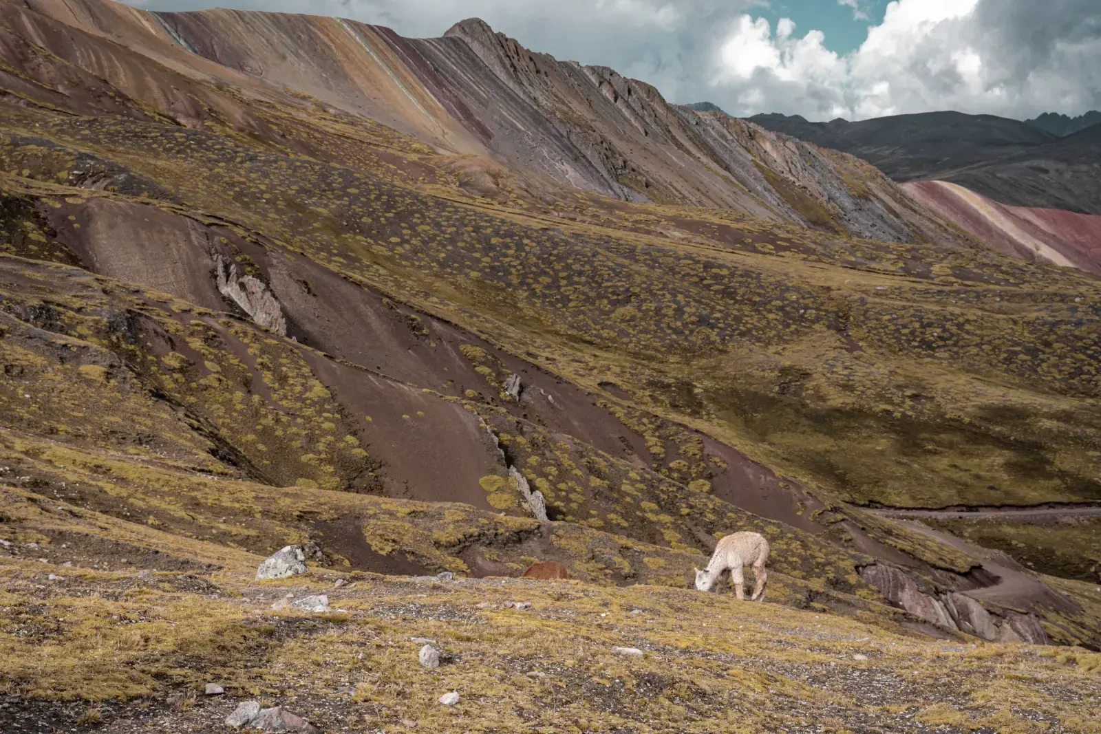 Peru 109