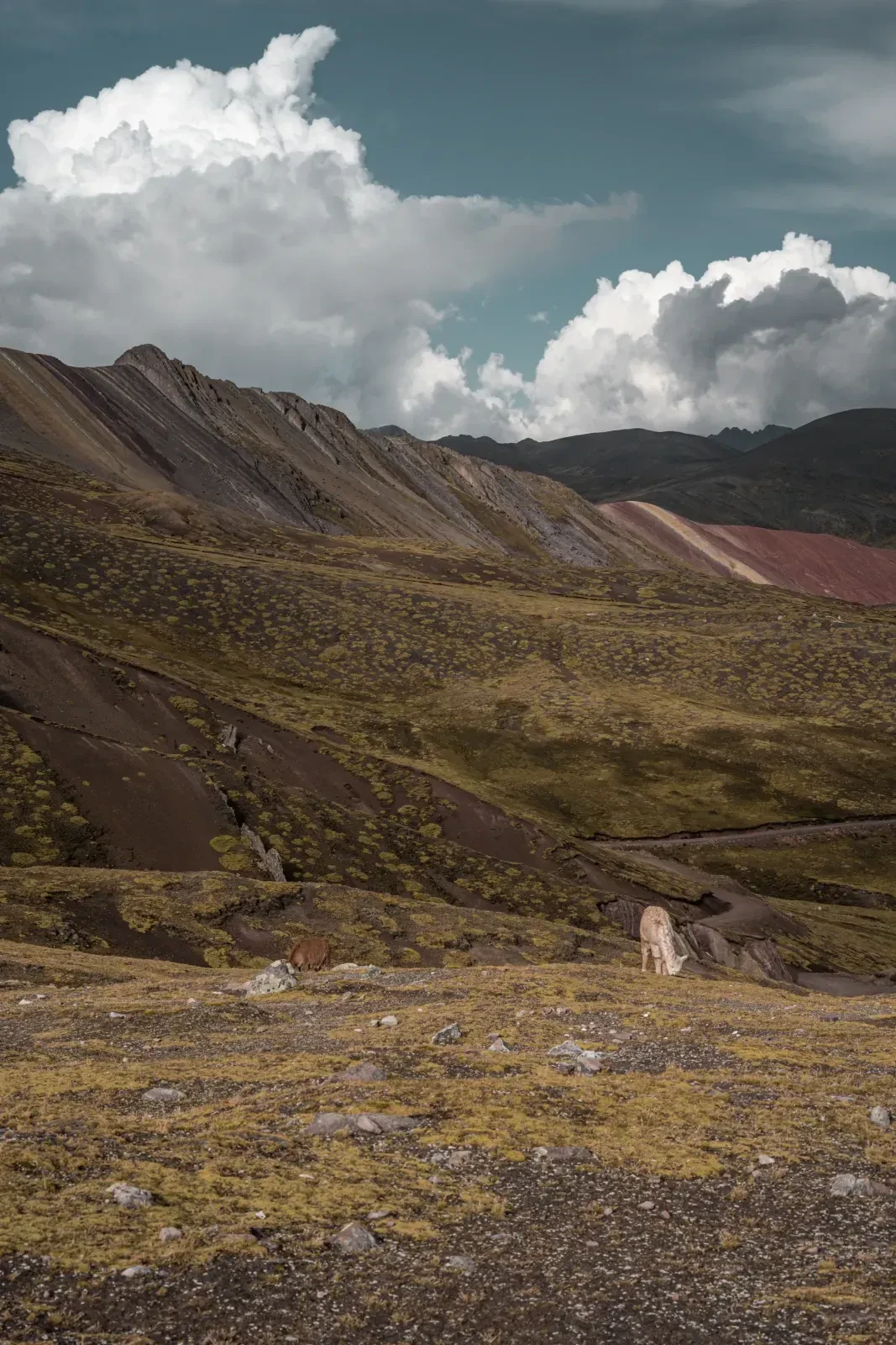 Peru 110