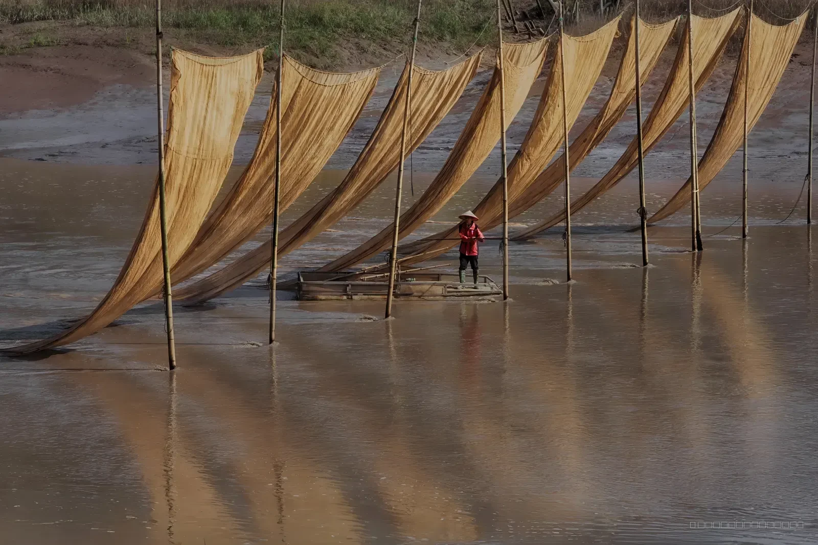 Net drying